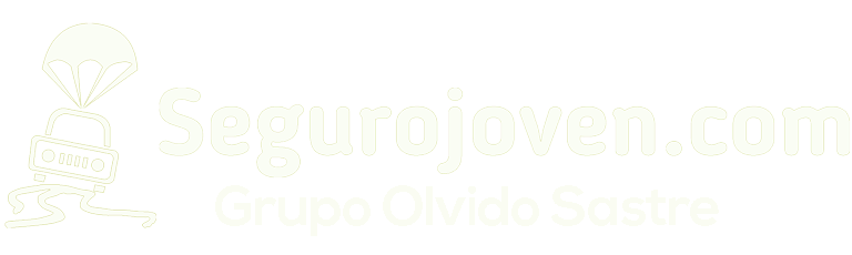 Segurojoven.com